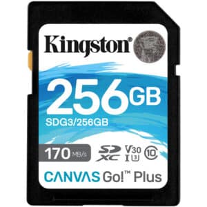 Kingston 256GB Canvas Go! Plus SD Memory Card Class 10