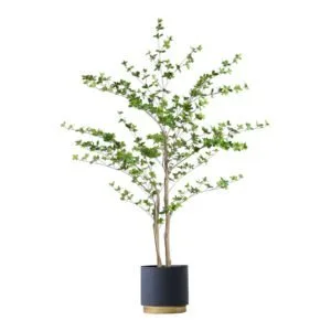 Buy SOGA 150cm Green Artificial Indoor Watercress Tree Fake Plant Simulation Decorative Online - Home & Living/Home Decor/Artificial Plants - 1 - NZ Depot Free Shipping