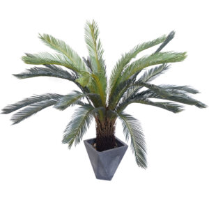 SOGA 155cm Artificial Indoor Cycas Revoluta Cycad Sago Palm Fake Decoration Tree Pot Plant, Home & Living, Home Decor, Artificial Plants, , ,  - NZ DEPOT 2