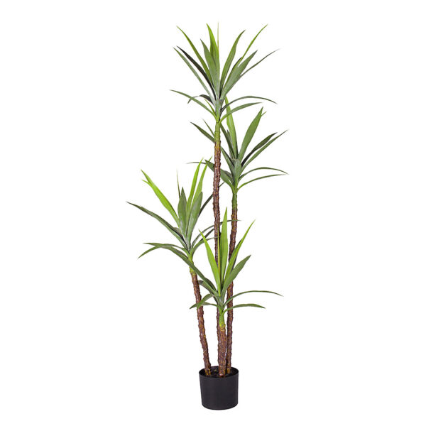 Soga 180Cm Artificial Natural Green Dracaena Yucca Tree Fake Tropical Indoor Plant Home Office Decor, Home &Amp; Living, Home Decor, Artificial Plants, , ,  - Nz Depot 1