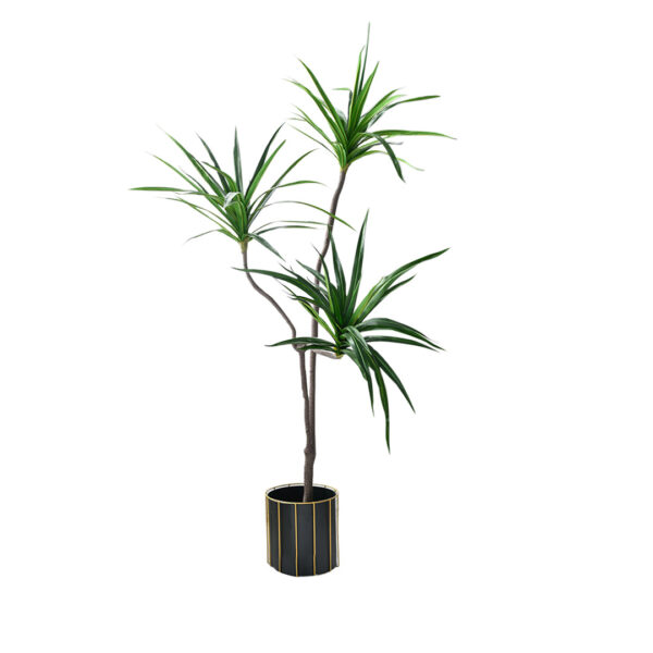SOGA 180cm Green Artificial Indoor Brazlian Iron Tree Fake Plant Decorative 3 Heads, Home & Living, Home Decor, Artificial Plants, , ,  - NZ DEPOT 1