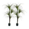 SOGA 2X 150cm Artificial Dracaena Plant Fake Potted, Simulation Tree Fake Plant Home Decor, Home & Living>Home Decor>Artificial Plants, , , , ,  - NZ DEPOT 1