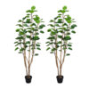SOGA 2X 150cm Plastic Potted Polyscias Scutellaria Plant Home Garden Artificial Tree, Home Decor, Home & Living>Home Decor>Artificial Plants, , , , ,  - NZ DEPOT 1