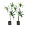 SOGA 2X 180cm Green Artificial Indoor Brazlian Iron Tree Fake Plant Decorative 3 Heads, Home & Living>Home Decor>Artificial Plants, , , , ,  - NZ DEPOT 1