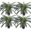 SOGA 4X 155cm Artificial Indoor Cycas Revoluta Cycad Sago Palm Fake Decoration Tree Pot Plant, Home & Living>Home Decor>Artificial Plants, , , , ,  - NZ DEPOT 1