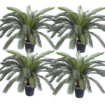 SOGA 4X 155cm Artificial Indoor Cycas Revoluta Cycad Sago Palm Fake Decoration Tree Pot Plant, Home & Living, Home Decor, Artificial Plants, , ,  - NZ DEPOT 1