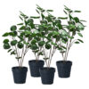 SOGA 4X 95cm Artificial Tree Indoor Nordic Style Artificial Tree Potted Simulation Tree, Home Decor, Home & Living>Home Decor>Artificial Plants, , , , ,  - NZ DEPOT 1
