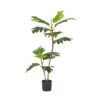 SOGA 90cm 2-Trunk Artificial Natural Green Split-Leaf Philodendron Tree Fake Tropical Indoor Plant Home Office Decor, Home & Living>Home Decor>Artificial Plants, , , , ,  - NZ DEPOT 1