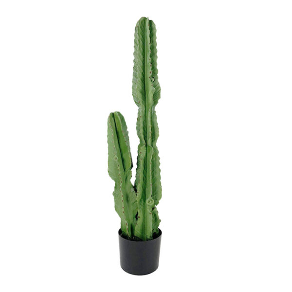 Soga 95Cm Green Artificial Indoor Cactus Tree Fake Plant Simulation Decorative 2 Heads, Home &Amp; Living, Home Decor, Artificial Plants, ,  - Nz Depot 1