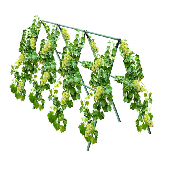 Soga 120X90Cm Plant Frame Tube Trellis Vegetable Flower Herbs Outdoor Vine Support Adjustable Garden Rack, Garden, Tools &Amp; Hardware, Gardening &Amp; Lawn Care, Garden Decor, ,  - Nz Depot 1