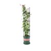 SOGA 133cm 4-Bar Plant Frame Stand Trellis Vegetable Flower Herbs Outdoor Vine Support Garden Rack with Rings, Garden>Tools & Hardware>Gardening & Lawn Care>Garden Decor, , , , ,  - NZ DEPOT 1