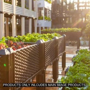 Buy SOGA 160cm Raised Planter Box Vegetable Herb Flower Outdoor Plastic Plants Garden Bed Deepen Online - Garden, Tools & Hardware/Gardening & Lawn Care/Pots, Planters & Container Accessories - 2 - NZ Depot Free Shipping