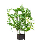 SOGA 160cm Rectangular Inclined Plant Frame Tube Pergola Trellis Vegetable Flower Herbs Outdoor Vine Support Garden Rack, Garden>Tools & Hardware>Gardening & Lawn Care>Garden Decor, , , , ,  - NZ DEPOT 1