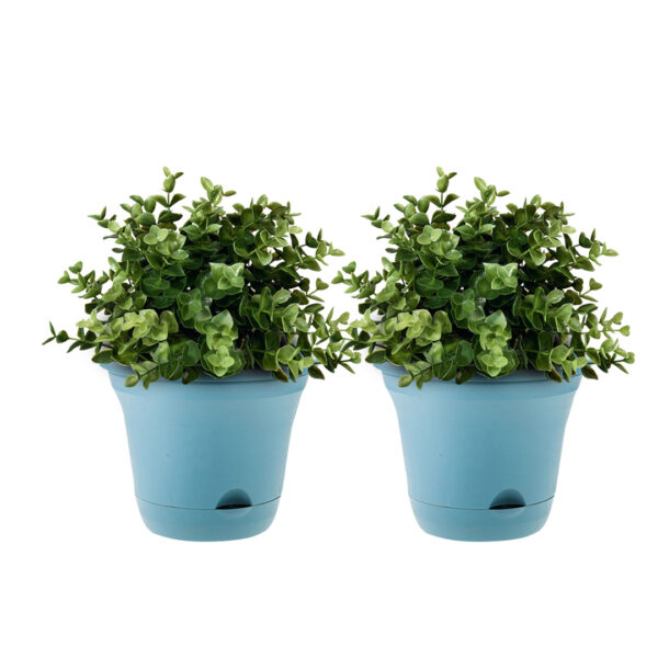 Soga 19.5 Cm Blue Plastic Plant Pot Self Watering Planter Flower Bonsai Outdoor Garden Decor Set Of 2, Home &Amp; Living, Home Decor, Indoor Pots, Planters And Plant Stands, , ,  - Nz Depot 1