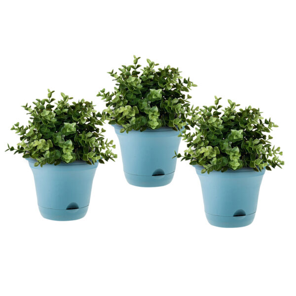 SOGA 19.5 cm Blue Plastic Plant Pot Self Watering Planter Flower Bonsai Indoor Outdoor Garden Decor Set of 3, Home & Living, Home Decor, Indoor Pots, Planters and Plant Stands, , ,  - NZ DEPOT 1