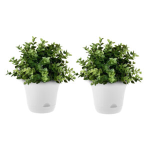 SOGA 19.5 cm White Plastic Plant Pot Self Watering Planter Flower Bonsai Indoor Outdoor Garden Decor Set of 2, Home & Living, Home Decor, Indoor Pots, Planters and Plant Stands, , ,  - NZ DEPOT 1