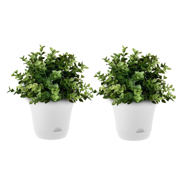 SOGA 19.5 cm White Plastic Plant Pot Self Watering Planter Flower Bonsai Indoor Outdoor Garden Decor Set of 2, Home & Living, Home Decor, Indoor Pots, Planters and Plant Stands, , ,  - NZ DEPOT 1