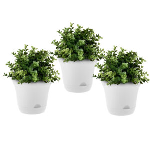 SOGA 19.5 cm White Plastic Plant Pot Self Watering Planter Flower Bonsai Indoor Outdoor Garden Decor Set of 3, Home & Living, Home Decor, Indoor Pots, Planters and Plant Stands, , ,  - NZ DEPOT 1