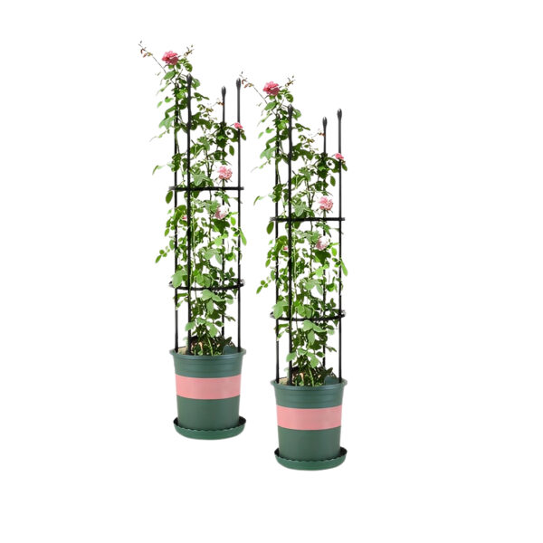 Soga 2X 103Cm 4-Bar Plant Frame Stand Trellis Vegetable Flower Herbs Outdoor Vine Support Garden Rack With Rings, Garden, Tools &Amp; Hardware, Gardening &Amp; Lawn Care, Garden Decor, ,  - Nz Depot 1