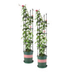 SOGA 2X 133cm 4-Bar Plant Frame Stand Trellis Vegetable Flower Herbs Outdoor Vine Support Garden Rack with Rings, Garden>Tools & Hardware>Gardening & Lawn Care>Garden Decor, , , , ,  - NZ DEPOT 1
