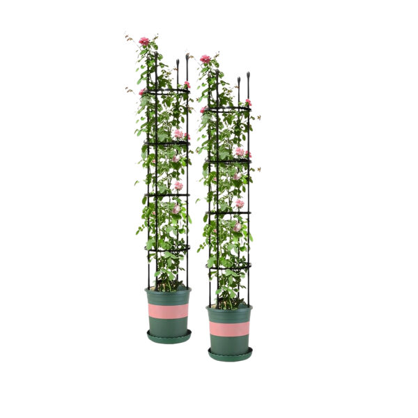 Soga 2X 163Cm 4-Bar Plant Frame Stand Trellis Vegetable Flower Herbs Outdoor Vine Support Garden Rack With Rings, Garden, Tools &Amp; Hardware, Gardening &Amp; Lawn Care, Garden Decor, ,  - Nz Depot 1