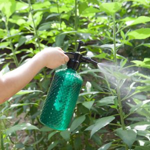 SOGA 2X 2 Liter Mist Water Spray Bottle Hand Held Pressure Adjustable Nozzle with Top Pump Indoor Outdoor Gardening, Garden, Tools & Hardware, Gardening & Lawn Care, Sprayers & Accessories, , ,  - NZ DEPOT 2