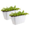 SOGA 2X 35cm Small White Rectangular Flowerpot Vegetable Herb Flower Outdoor Plastic Box Garden Decor, Home & Living>Home Decor>Indoor Pots, Planters and Plant Stands, , , , ,  - NZ DEPOT 1