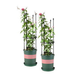 SOGA 2X 73cm 4-Bar Plant Frame Stand Trellis Vegetable Flower Herbs Outdoor Vine Support Garden Rack with Rings, Garden, Tools & Hardware, Gardening & Lawn Care, Garden Decor, ,  - NZ DEPOT 1