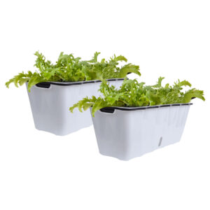 SOGA 2X Large White Rectangular Flowerpot Vegetable Herb Flower Outdoor Plastic Box Garden Decor, Home & Living, Home Decor, Indoor Pots, Planters and Plant Stands, , ,  - NZ DEPOT 1