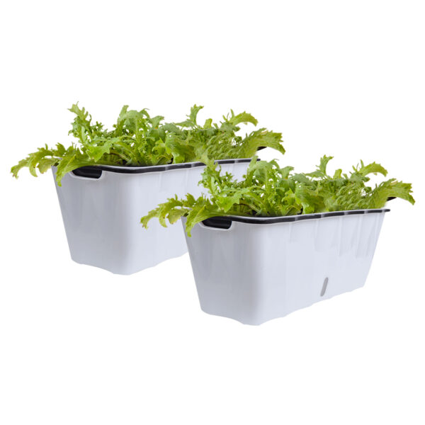 SOGA 2X Large White Rectangular Flowerpot Vegetable Herb Flower Outdoor Plastic Box Garden Decor, Home & Living, Home Decor, Indoor Pots, Planters and Plant Stands, , ,  - NZ DEPOT 1