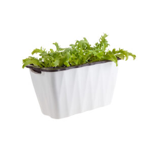 SOGA 35cm Small White Rectangular Flowerpot Vegetable Herb Flower Outdoor Plastic Box Garden Decor, Home & Living, Home Decor, Indoor Pots, Planters and Plant Stands, , ,  - NZ DEPOT 1