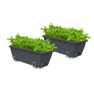 Buy SOGA 49.5cm Black Rectangular Planter Vegetable Herb Flower Outdoor Plastic Box with Holder Balcony Garden Decor Set of 2 Online - Garden, Tools & Hardware/Gardening & Lawn Care/Pots, Planters & Container Accessories - 1 - NZ Depot Free Shipping