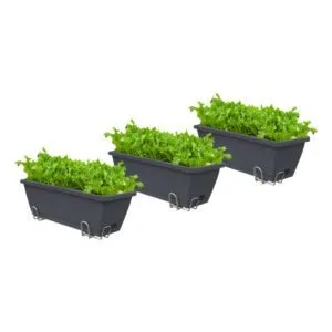 Buy SOGA 49.5cm Black Rectangular Planter Vegetable Herb Flower Outdoor Plastic Box with Holder Balcony Garden Decor Set of 3 Online - Garden, Tools & Hardware/Gardening & Lawn Care/Pots, Planters & Container Accessories - 1 - NZ Depot Free Shipping