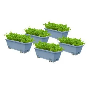 Buy SOGA 49.5cm Blue Rectangular Planter Vegetable Herb Flower Outdoor Plastic Box with Holder Balcony Garden Decor Set of 5 Online - Garden, Tools & Hardware/Gardening & Lawn Care/Pots, Planters & Container Accessories - 1 - NZ Depot Free Shipping