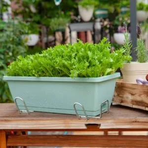 Buy SOGA 49.5cm Green Rectangular Planter Vegetable Herb Flower Outdoor Plastic Box with Holder Balcony Garden Decor Set of 2 Online - Garden, Tools & Hardware/Gardening & Lawn Care/Pots, Planters & Container Accessories - 2 - NZ Depot Free Shipping