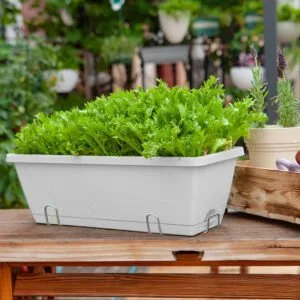 Buy SOGA 49.5cm Gray Rectangular Planter Vegetable Herb Flower Outdoor Plastic Box with Holder Balcony Garden Decor Set of 2 Online - Garden, Tools & Hardware/Gardening & Lawn Care/Pots, Planters & Container Accessories - 2 - NZ Depot Free Shipping