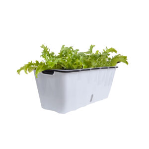 SOGA 50cm Large White Rectangular Flowerpot Vegetable Herb Flower Outdoor Plastic Box Garden Decor, Home & Living, Home Decor, Indoor Pots, Planters and Plant Stands, , ,  - NZ DEPOT 1