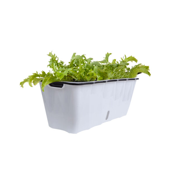 SOGA 50cm Large White Rectangular Flowerpot Vegetable Herb Flower Outdoor Plastic Box Garden Decor, Home & Living, Home Decor, Indoor Pots, Planters and Plant Stands, , ,  - NZ DEPOT 1