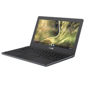 ASUS Chromebook 11.6" C204MA-GJ0261-ZTE Notebook - NZDEPOT