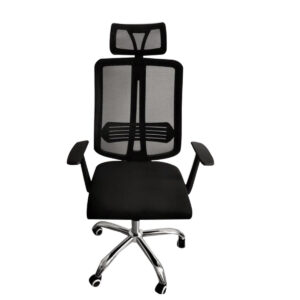 Ergo Office Chair