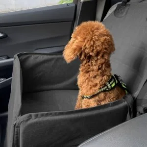 Buy SOGA 2X Black Car Pet Sitting Bag Breathable Safety Travel Portable Carrier Pouch Travel Essentials Online - Pet Supplies/Dogs/Carriers & Travel Products - 2 - NZ Depot Free Shipping