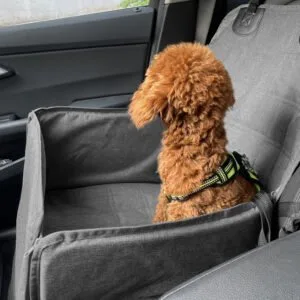 Buy SOGA 2X Grey Car Pet Sitting Bag Breathable Safety Travel Portable Carrier Pouch Travel Essentials Online - Pet Supplies/Dogs/Carriers & Travel Products - 2 - NZ Depot Free Shipping