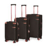 Voyage Luggage Set