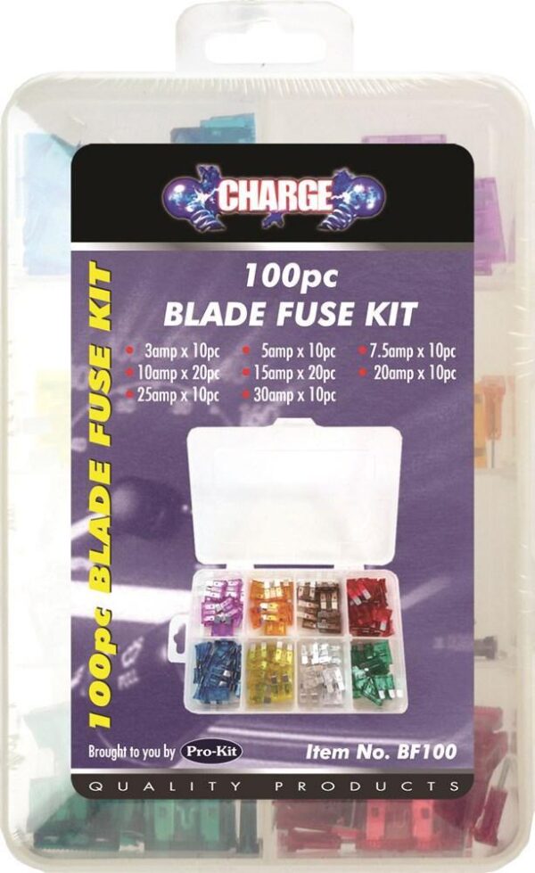 Assorted Blade Fuse 100 Pieces - Use for automotive fuse replacement -  Mini size