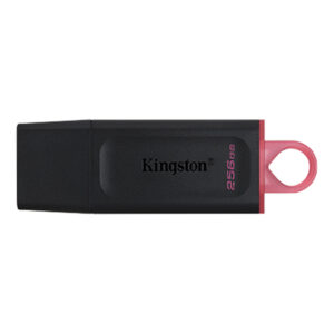 Kingston DTX 256GB USB Flash Drive 3.0 - NZ DEPOT
