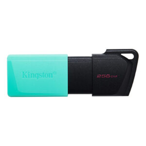 Kingston DTXM 256GB USB Flash Drive 3.2 Gen 1 256GB with Moving Cap - NZ DEPOT