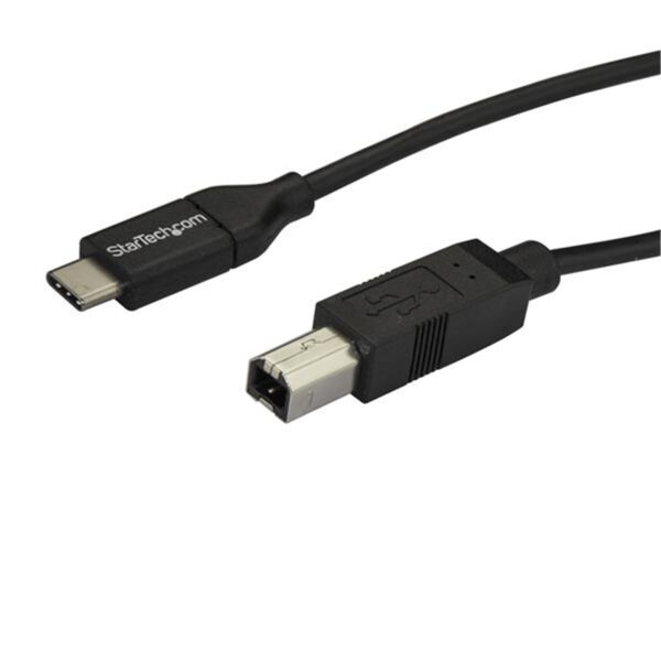 StarTech USB2CB2M 2m 6ft USB C to USB B Cable - USB 2.0 - NZ DEPOT