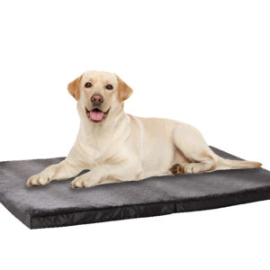 MemFoam Pet Bed D4 XLarge