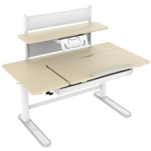 Loctek Ergonomic Child Study Height Adjustable Desk - 1120x600mm Tabletop - Book Shelf Holder - Storage Drawer - Bag Hook - Tilt Adjustment - Height Range 550-890mm - Loading 40kg - Lifting Speed 15mm/s - NZ DEPOT