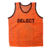Sports Bib - Small / Green - Clothing